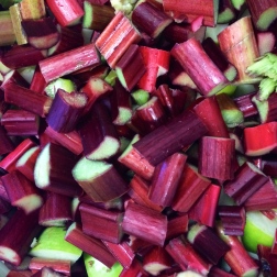 Impossibly vivid rhubarb, ready to be jammed.