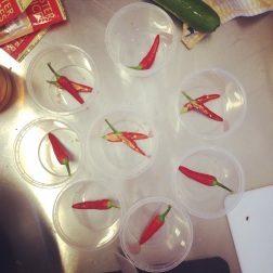 Some impromptu chilli-in-the-bottom-of-the-pickles action.